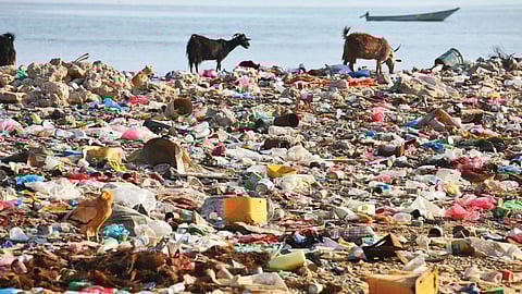 माहुलमध्ये प्रदूषणामुळे नागरिक त्रासले आहेत.
