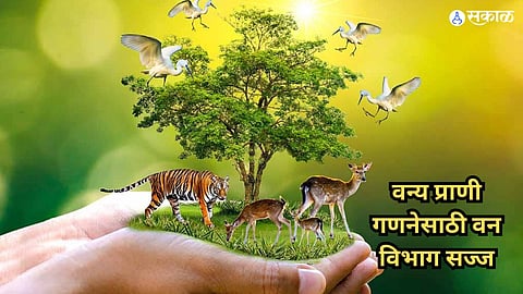 Wildlife Enumeration
