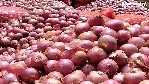 Onion