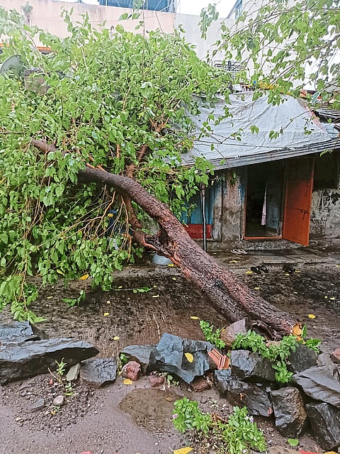 वादळी वाऱ्यासह वडगावात पावसाची हजेरी