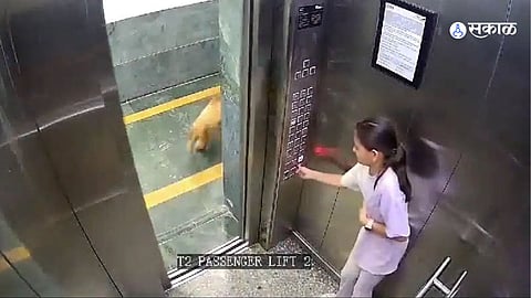 Delhi Society Dog Attack In Lift