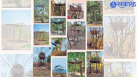 Scaffolds erected at various places from forest area to Raver forest area.