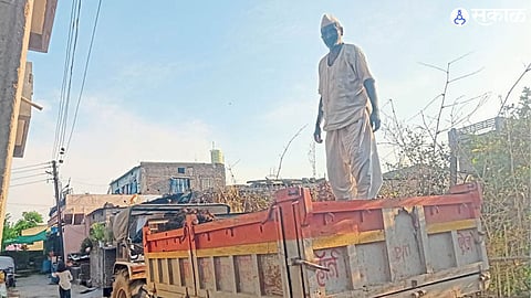 rural area fertilizer shortage traditional farming animal feeding agriculture