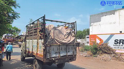 Scene of illegal felling of trees and being transported by tempo.