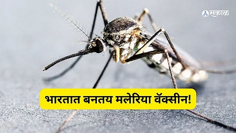 JNU Scientist's Discovery Could Revolutionize Malaria Prevention