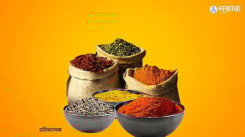 आता मसाल्यातही भेसळीची फोडणी! लाकडाचा भुसा, Acid चा वापर; १५ टन बनावट मसाला जप्त