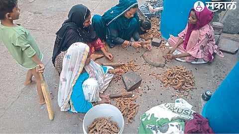 Women breaking tamarind in Gulsher Nagar area.