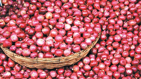Onion