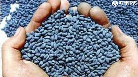 BT seed