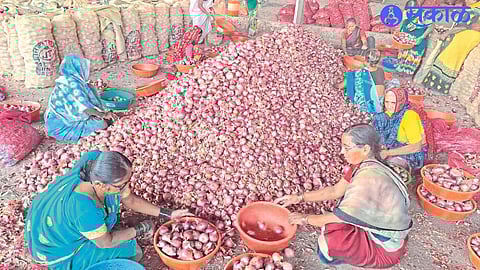 Women sorting onions in the market committee.