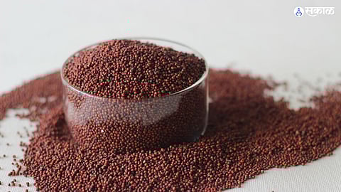 ragi