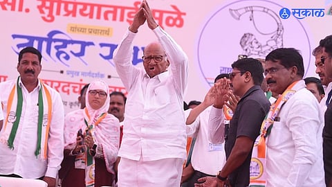 Sharad Pawar NCP X Video Goes Viral