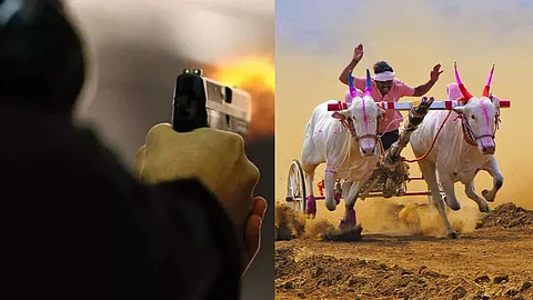 Bullock Cart Race