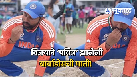 T20 World Cup rohit sharma