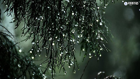 Nagpur Weather Update