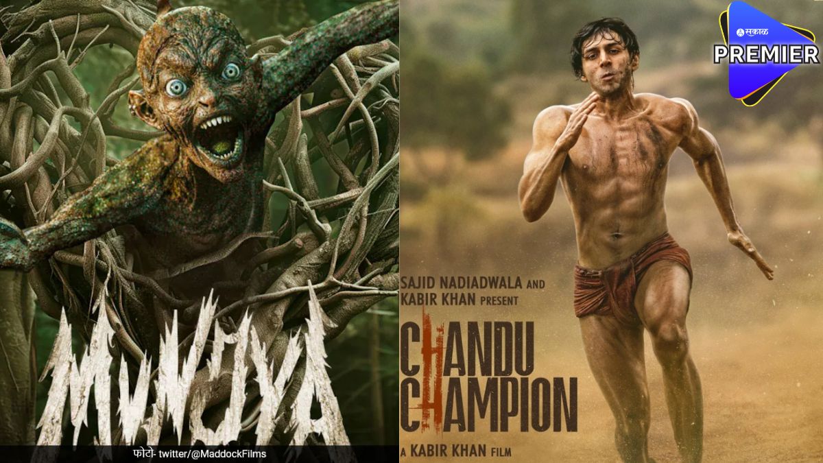 Chandu Champion Box Office Collection