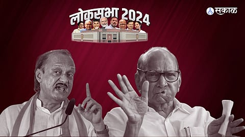 Maharashtra lok sabha election 2024 result