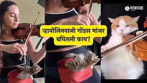 Esther Abrami’s Sweet Violin Session with Her Cat Charms the Internet