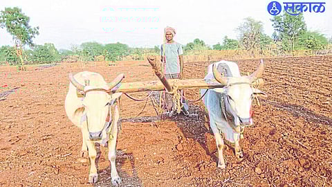 Farmers ready for pre-kharif cultivation.