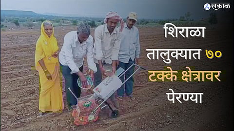 शिराळा तालुक्यात ७० टक्के क्षेत्रावर पेरण्या