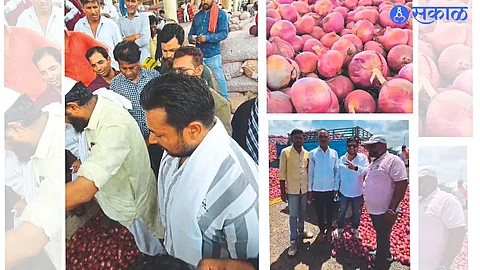 Ongoing auction in Shajapur and Vani...onion market