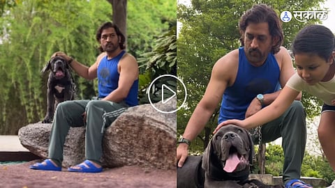 MS Dhoni - Ziva Dhoni