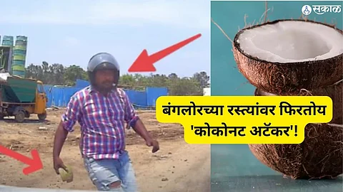 Bengaluru Road Rage: Electric Scooter Rider Smashes Car with Coconut Shell