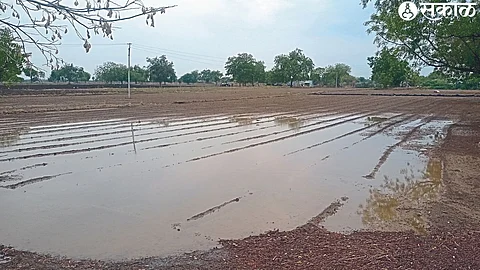 Due to heavy rain, the field is flooded with water.