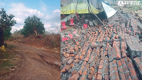 In Kakor Shiwar here, a tree fell on the road where a chicken died due to the collapse of a poultry wall due to the storm and rain.
