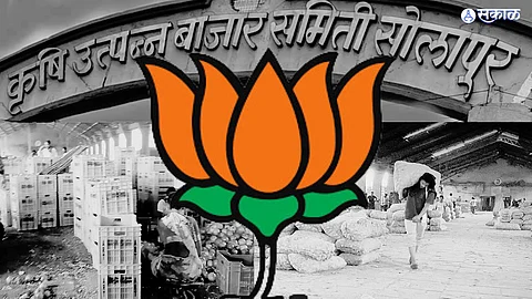 Bajar Samiti Election: भाजपला विधानसभेपूर्वी द्यावा लागणार कठीण पेपर, सोलापूर बाजारसमितीत कोण मारणार बाजी?
