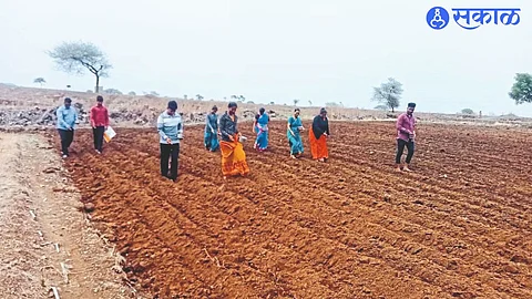 Sowing