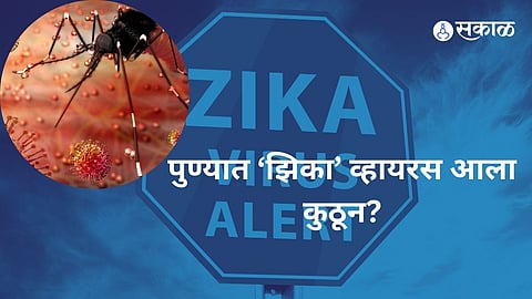 Zika Virus: