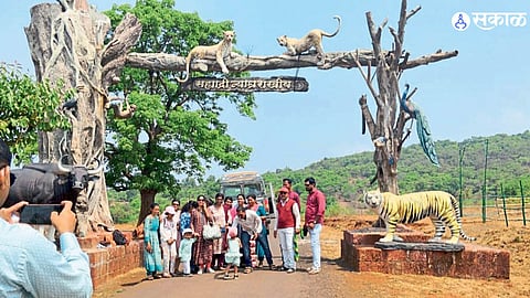 Chandoli National Park