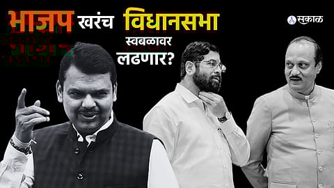 Assembly Elections 2024