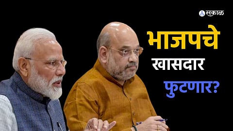 BJP MP will revolt in lok sabha