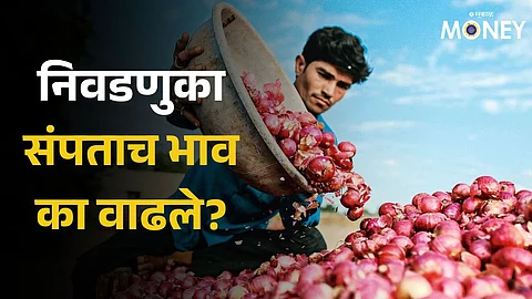 Onion Prices