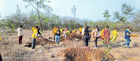 वृक्षप्रेमी संस्थेकडून वृक्षारोपण