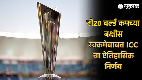T20 World Cup 2024 prize Money