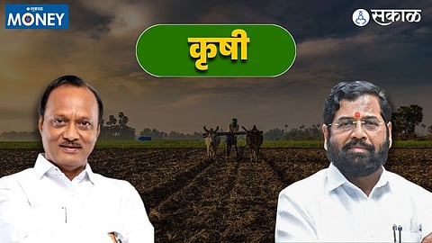 Maharashtra Budget 2024 For Farmers
