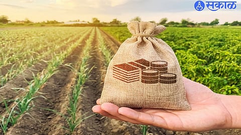 crop loan