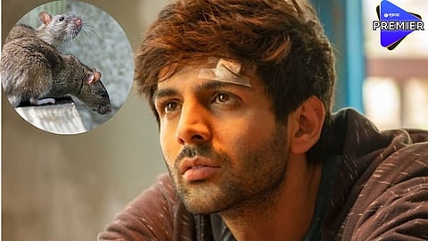 उंदरांमुळे कार्तिक आर्यनचं लाखोंचं नुकसान; नेमकं प्रकरण काय?