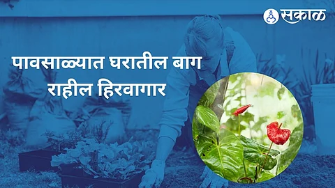 Gardening Tips: