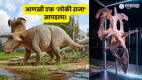 Discovering Lokiceratops: A New Dinosaur with Norse Roots