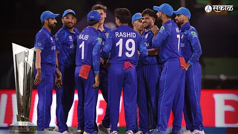 Afghanistan beat New Zealand by 84 runs T20 World Cup 2024