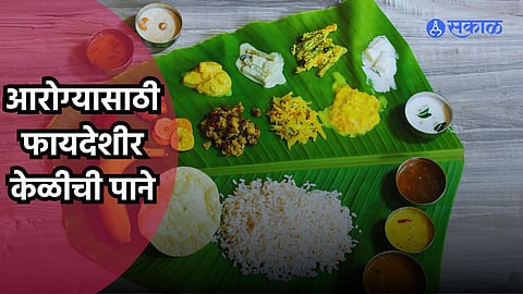 Banana Leaf Benefits