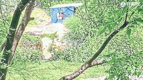 Waldevi river polluted due to illegal businesses industries