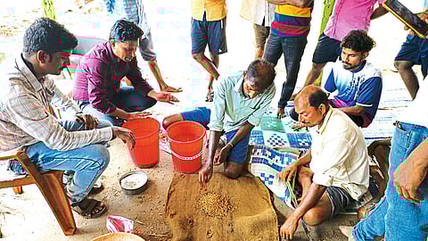 भातबियाण्यांवर प्रक्रिया करूनच पेरणी करा