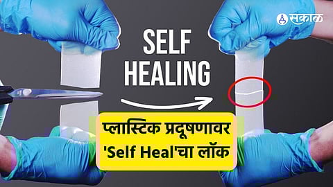 Sustainable Polymers Developed by Indian Researchers to Tackle Plastic Pollution Crisis