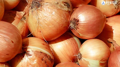 Onion Purchase