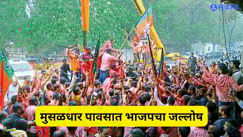 Loksabha Election Result